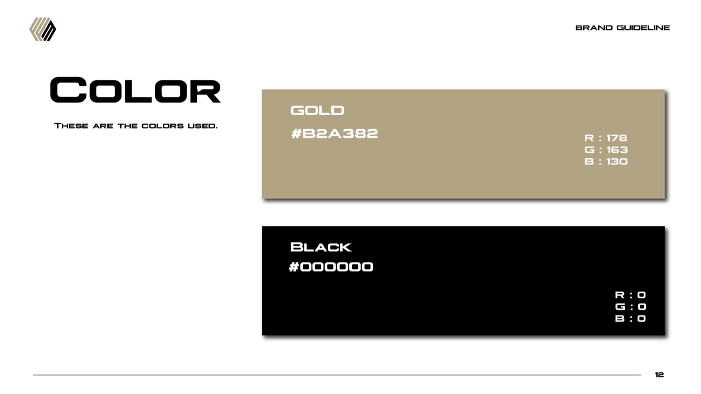 FLX Fit Massage brand guideline — color palette