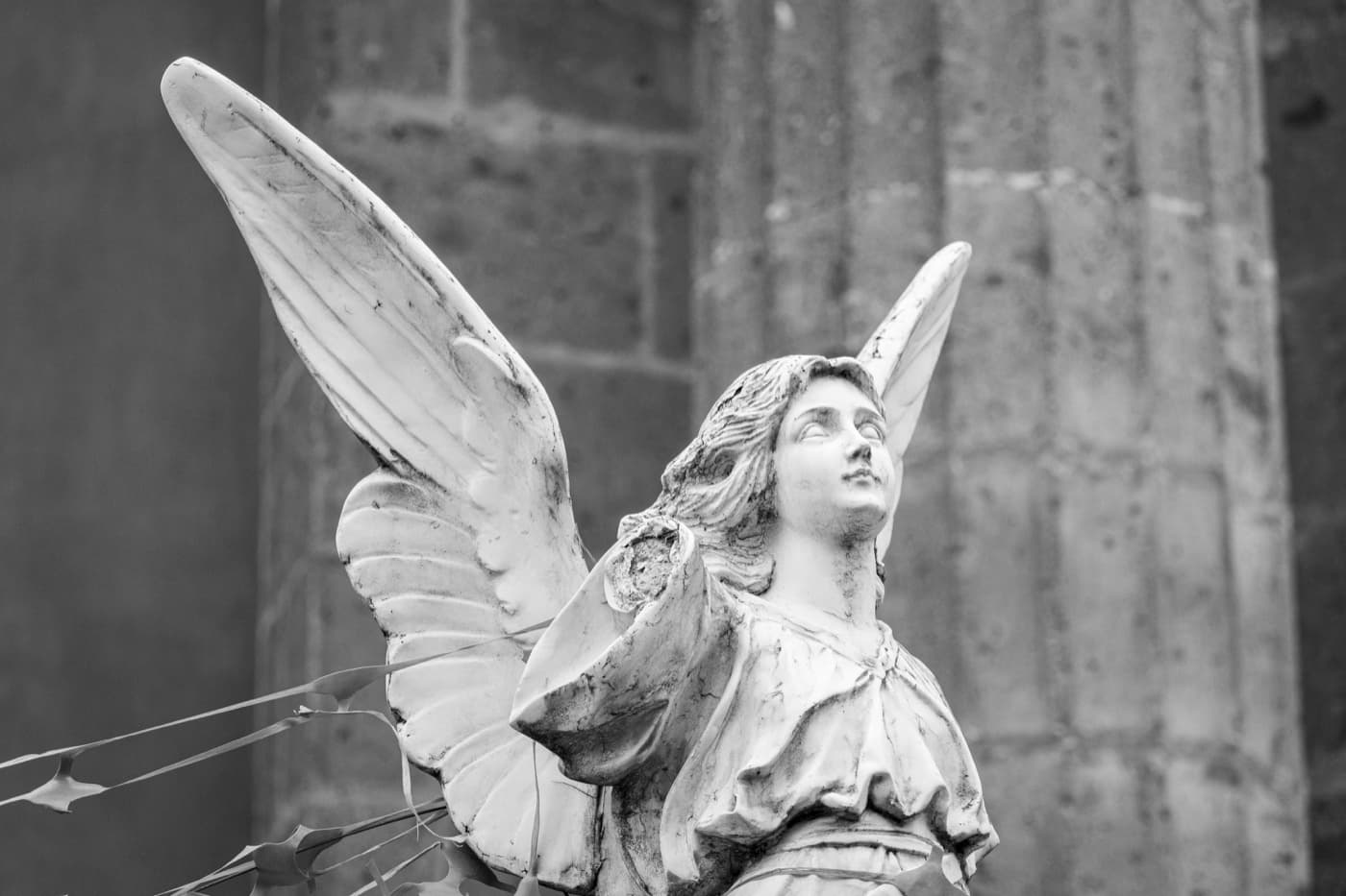 North Star Funeral Services — funeral support service