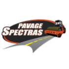 Pavage Spectra