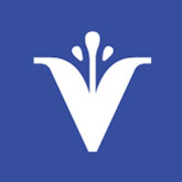 Ivybiss Pinterest - PROFILE-PINTEREST