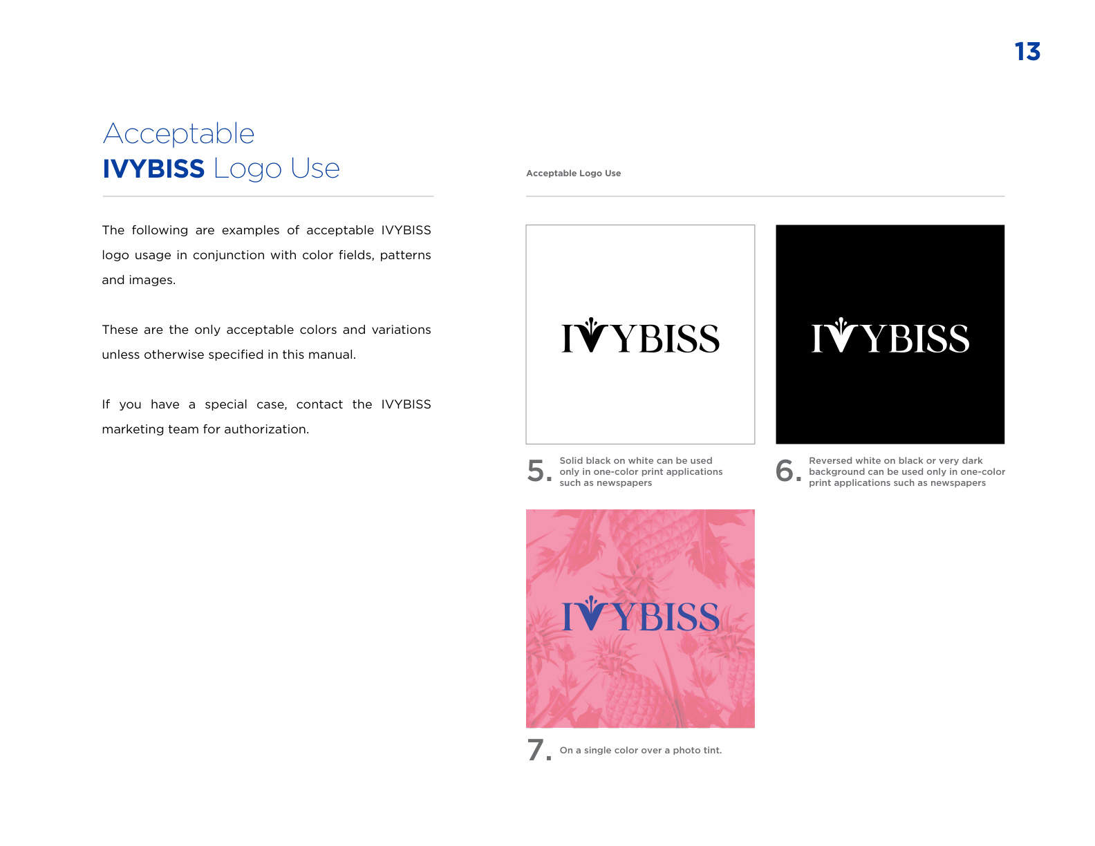 Ivybiss Brand Guide Book - Page 13 of 36