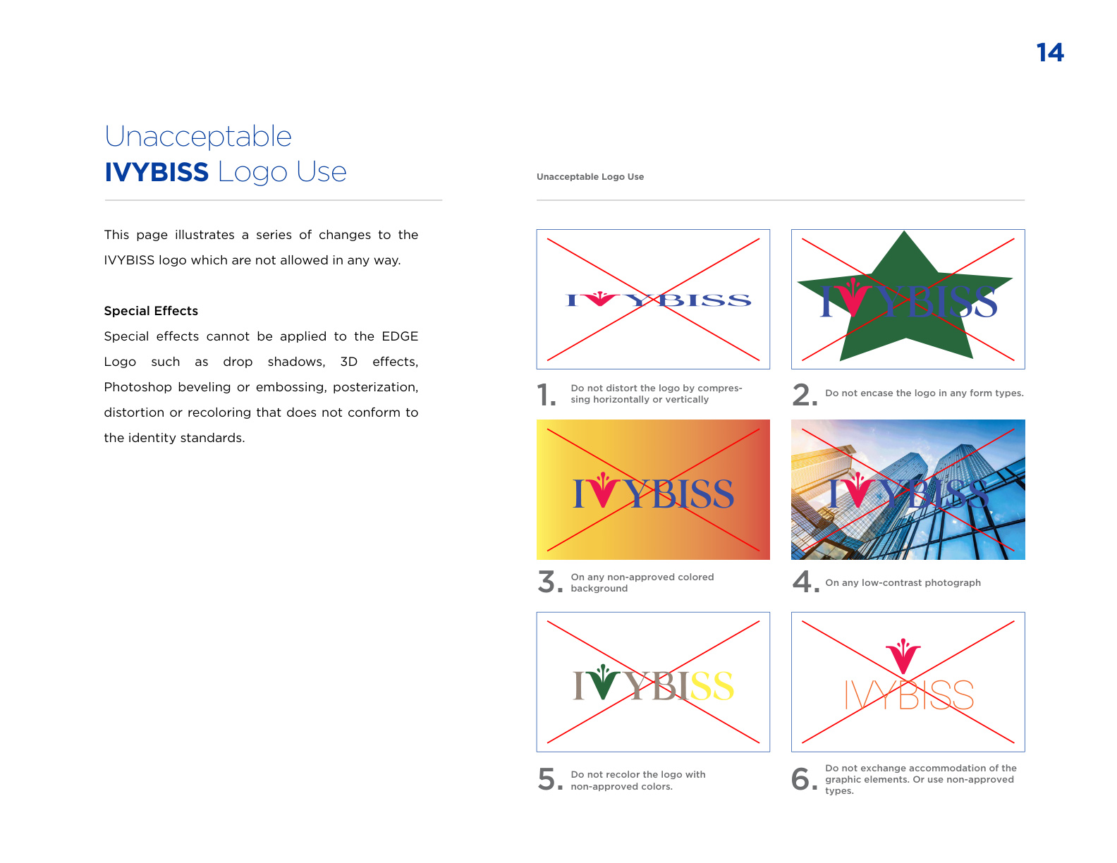 Ivybiss Brand Guide Book - Page 14 of 36