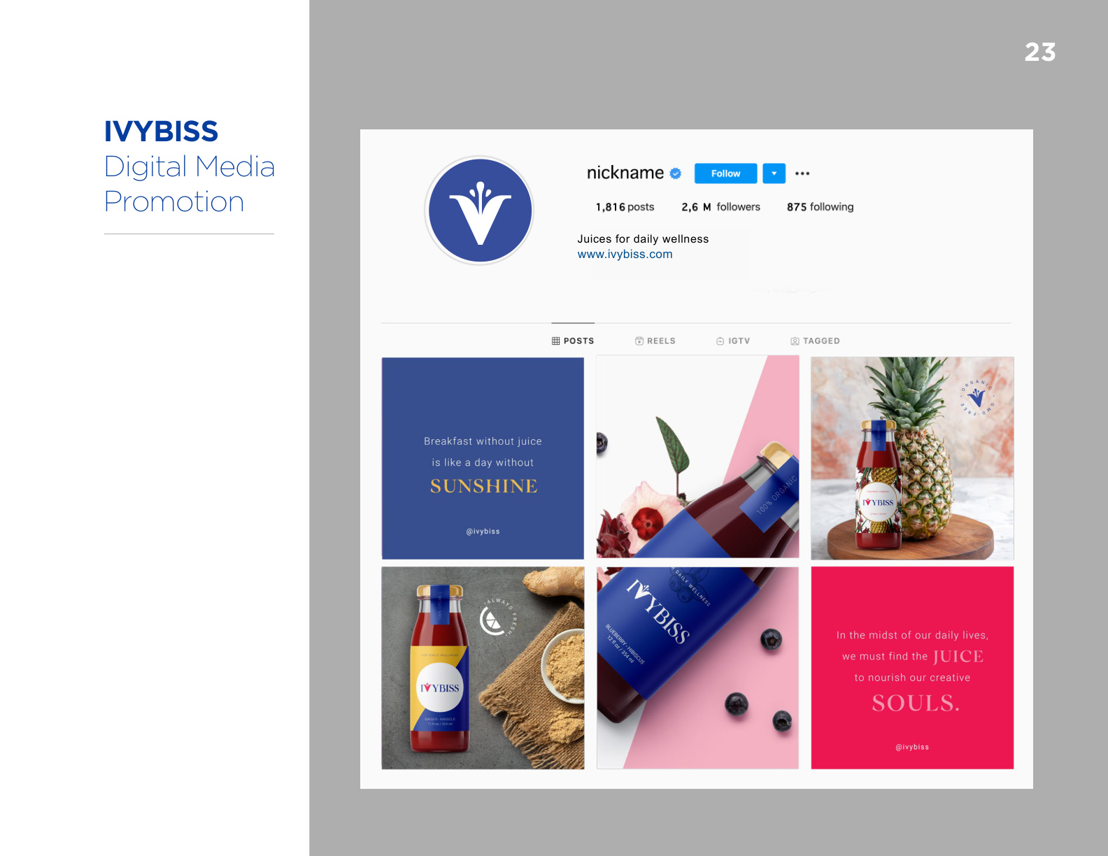 Ivybiss Brand Guide Book - Page 23 of 36