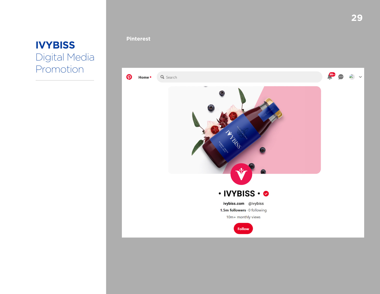 Ivybiss Brand Guide Book - Page 31 of 36